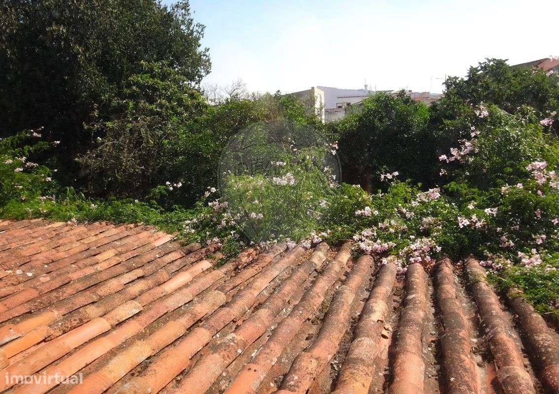 Moradia T4 para venda - Grande imagem: 5/5