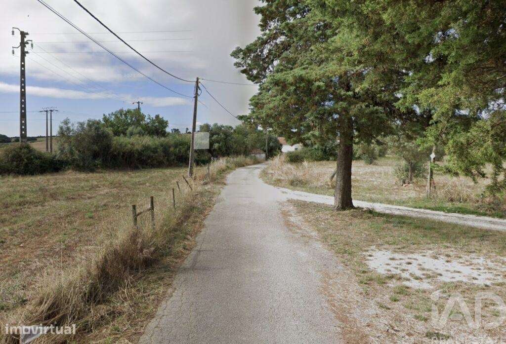 Terreno Agrícola em São Vicente do Paul e Vale de Figueira - Grande imagem: 4/6