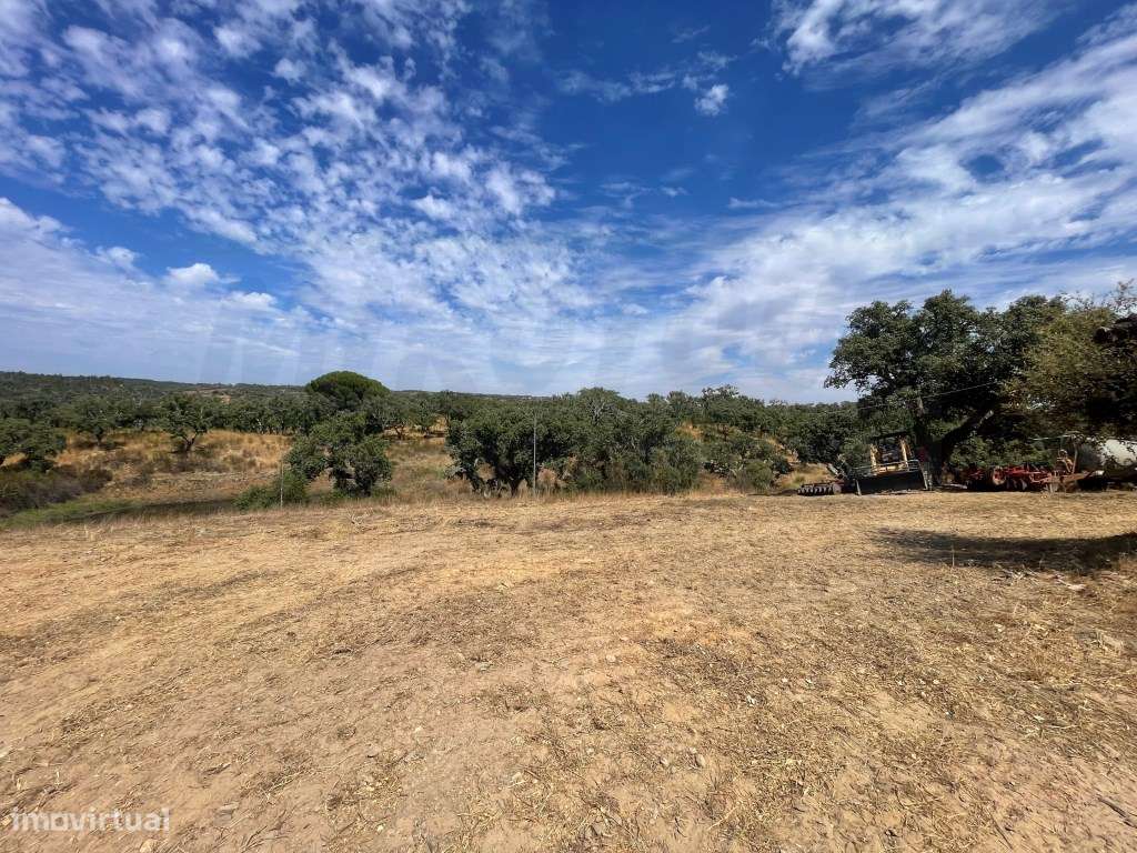 HERDADE COM 100 HECTARES E BASTANTE ARBORIZAÇÃO-45