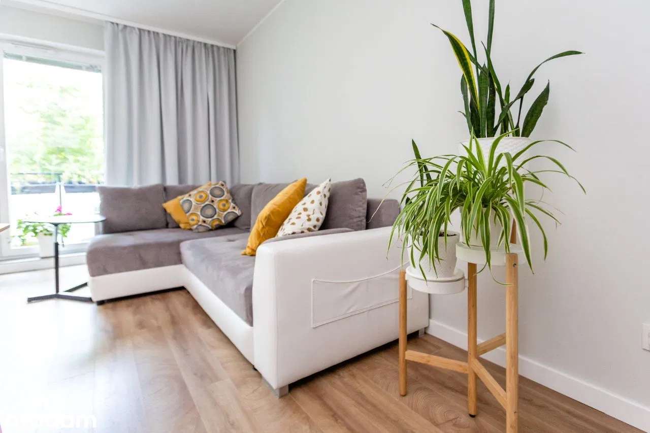 Hugona Kowarzyka / Do zamieszkania / 3 pokoje / - Pełny obrazek: 4/8