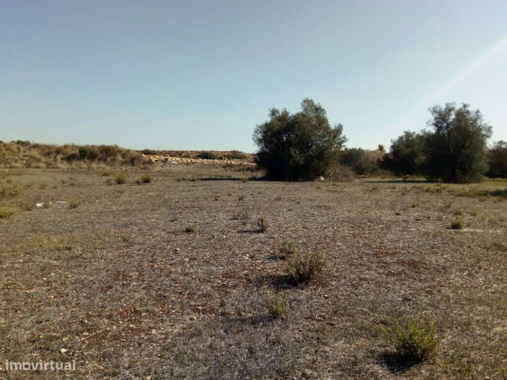 Terreno para arrendar no Sabugo - Almargem do Bispo - Sintra - Grande imagem: 3/3