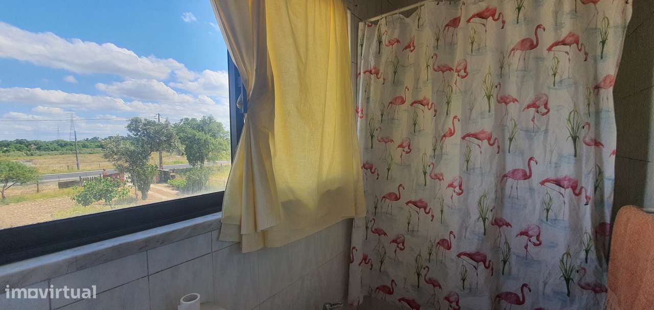 Quinta  5000m2 Viver no Campo Com a Cidade Por Perto Passil Alcochete-26