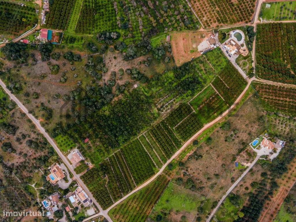 Moradia T3 com Pomar de citrinos no concelho de Silves - Grande imagem: 3/36