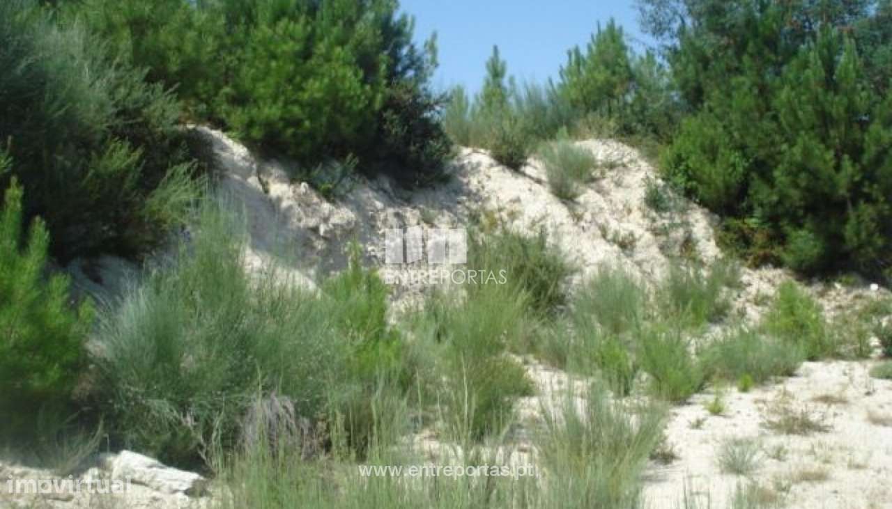 Venda Lote, vista desafogada, Grilo, Baião - Grande imagem: 5/8