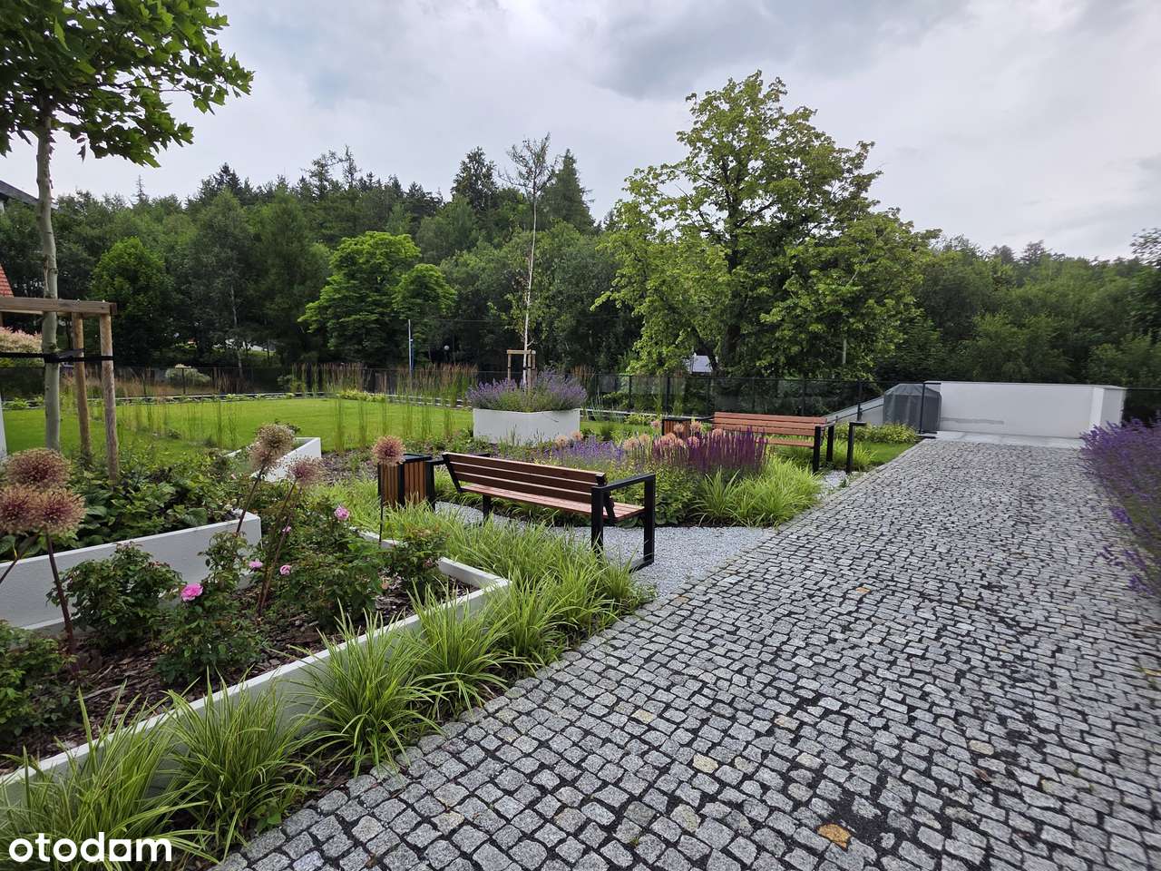 Bezpośrednio lokal 62,72 m2 - CENA BRUTTO - Pełny obrazek: 4/17