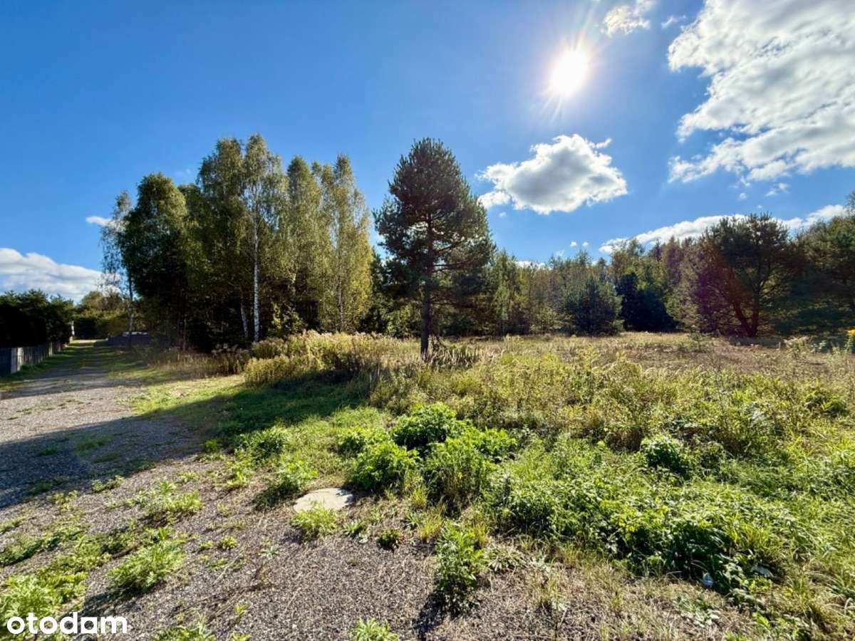 Malownicza Działka 7100m2!, Gmina Miedziana Góra - Pełny obrazek: 2/7