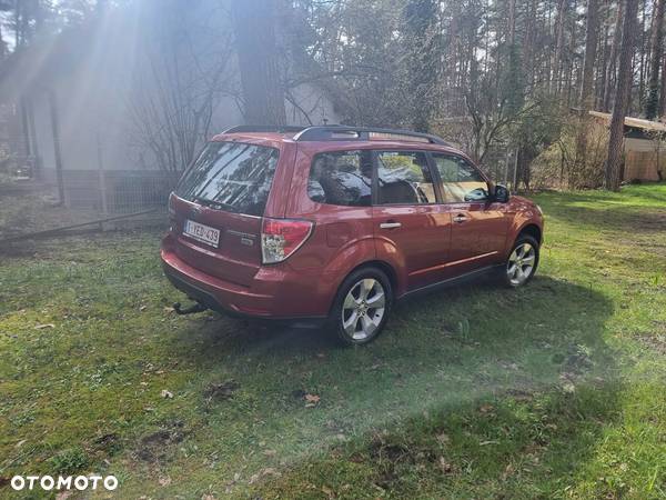 Subaru Forester 2.0 D Exclusive - 6