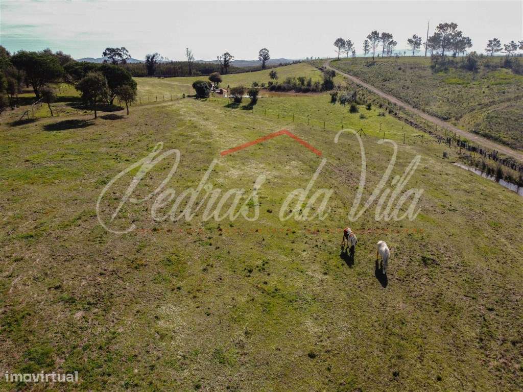 Quinta com 6,5ha em Vale Juncal - São Teotónio-50