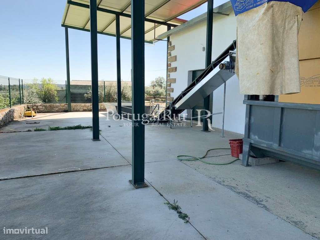 Lagar de azeite completamente renovado - Grande imagem: 5/54