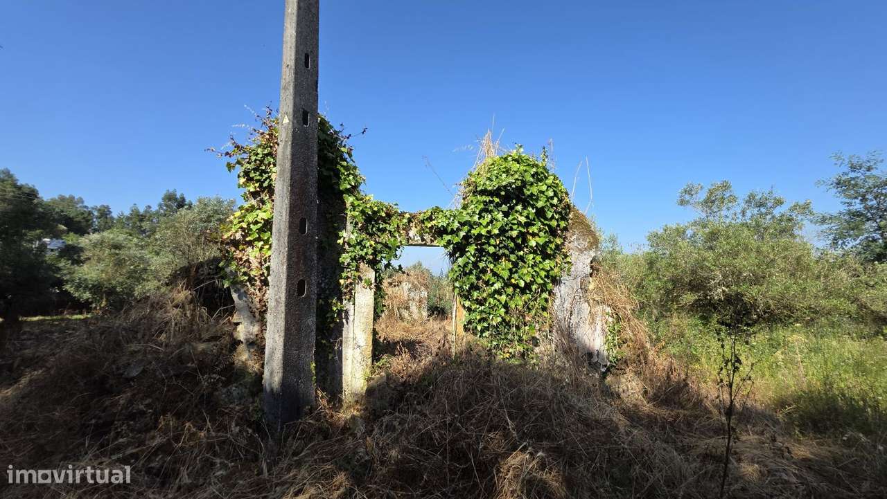 Ruína nas Olalhas a 3 kms de Ferreira do Zêzere e do Rio Zêzere - Grande imagem: 3/26
