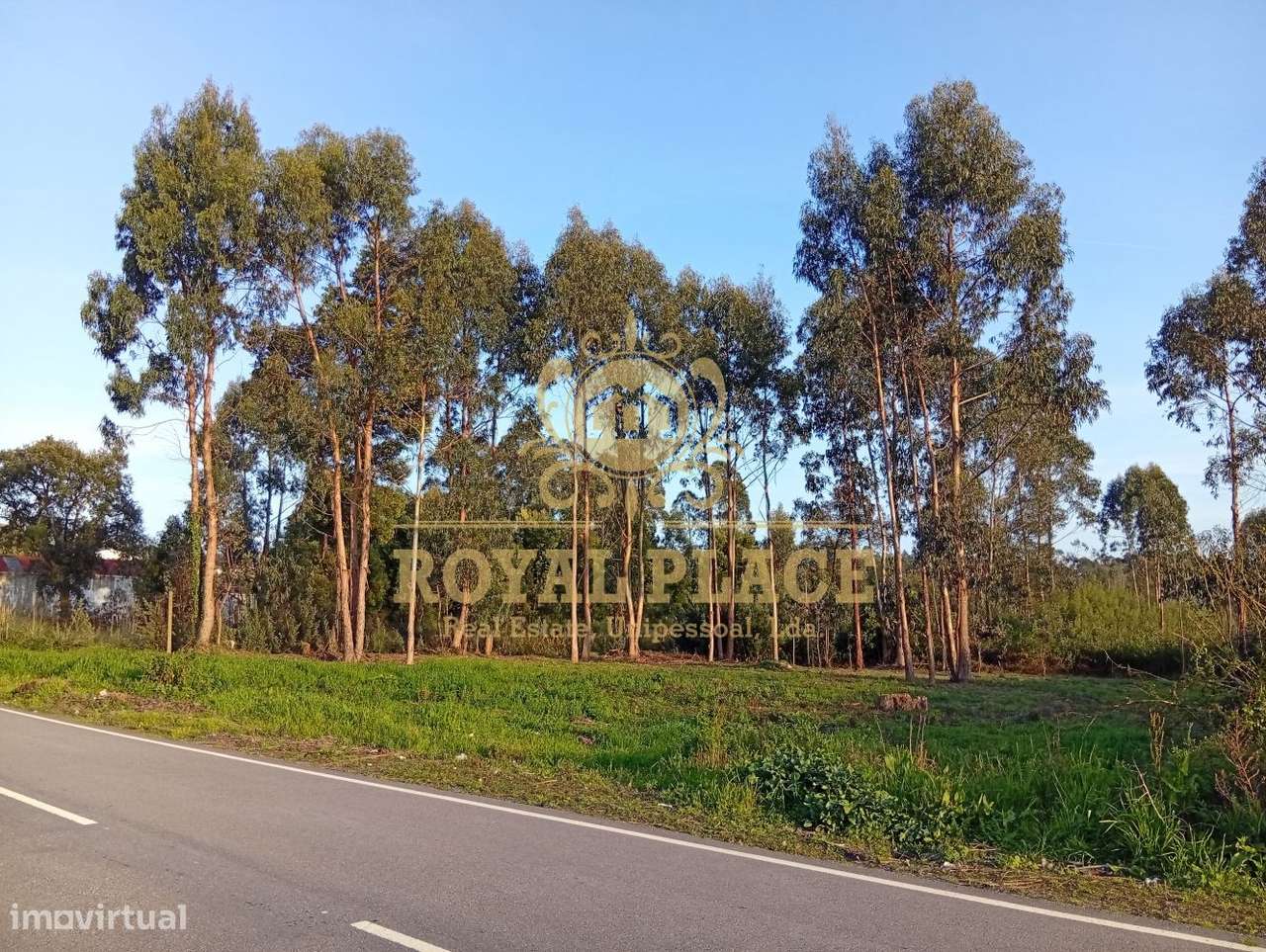 Terreno com 6.000m2 em Santa Maria de Lamas - Grande imagem: 5/21