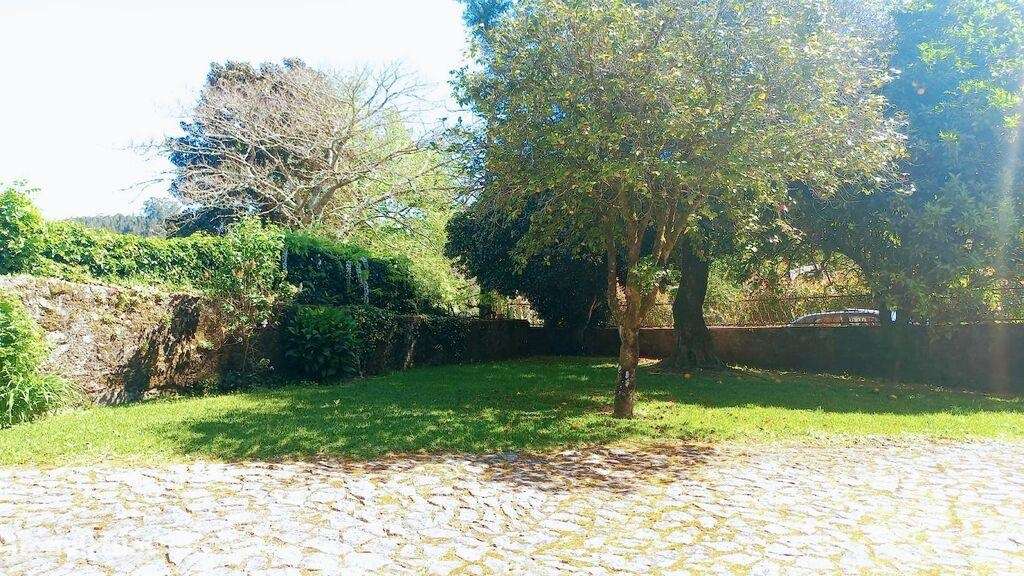 Casa de Campo T3 em Facha de 257,00 m2 - Grande imagem: 4/30