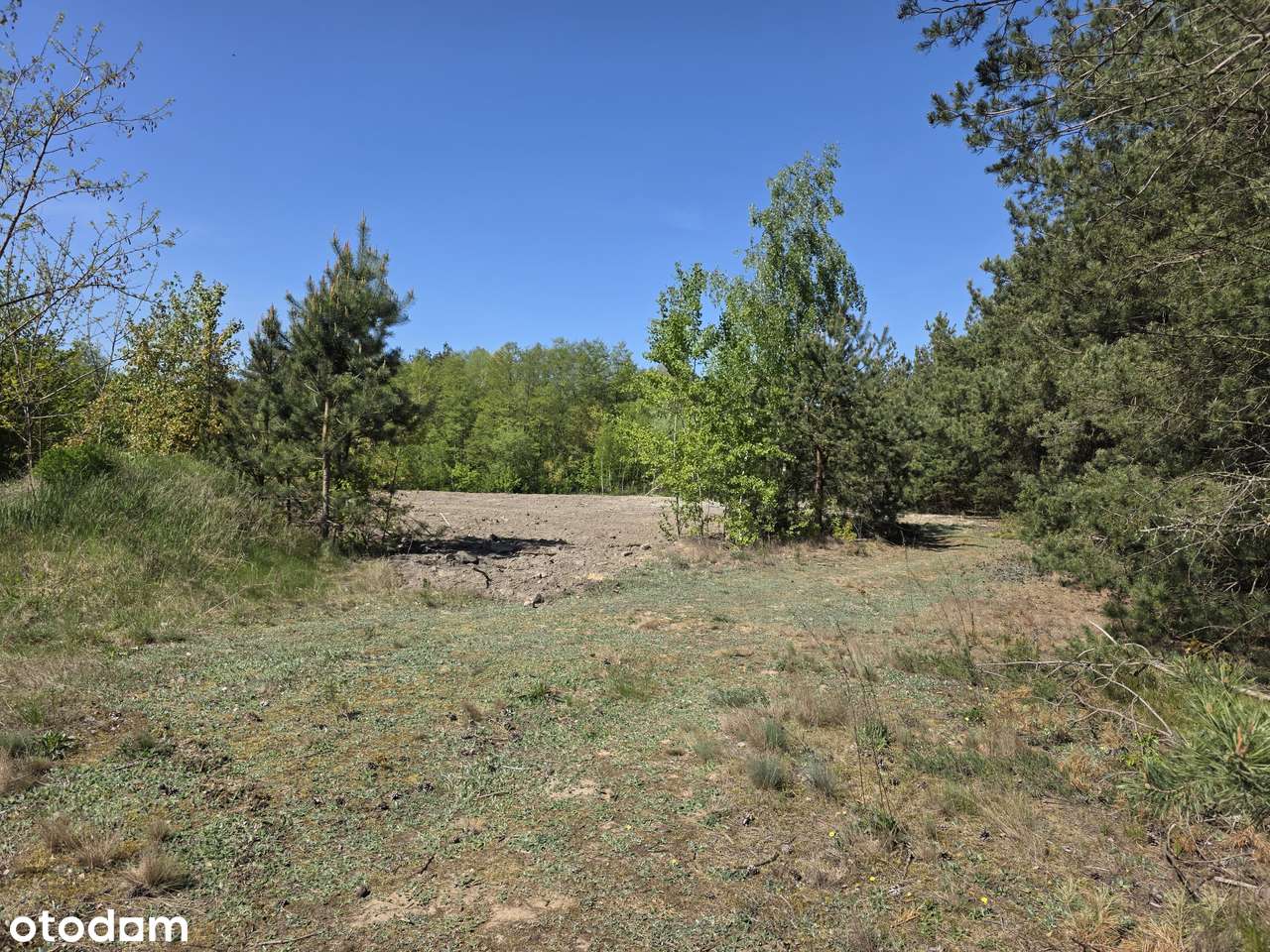 Działki | Budowlane | w Lesie | Krubin  -| - Bieńki - - Pełny obrazek: 4/11