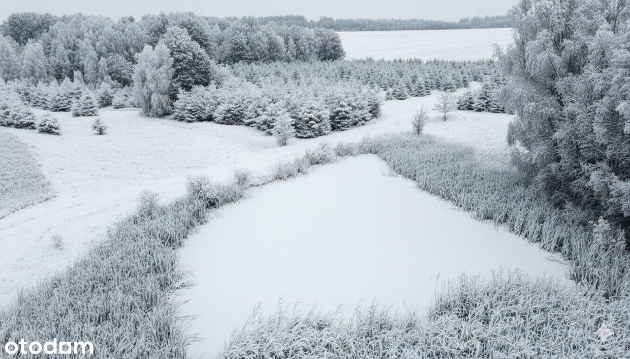 Działka, 61 800 m², Gryfów Śląski-5
