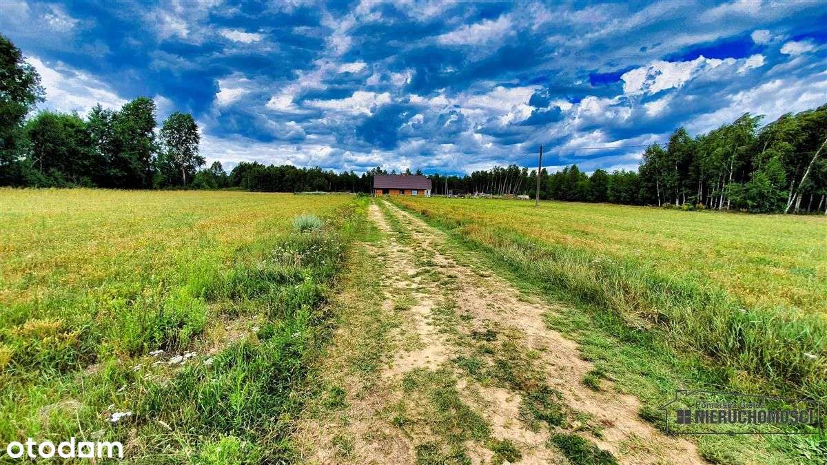 Czyżkowo - działka budowlana około 70 km od Bydgos-19
