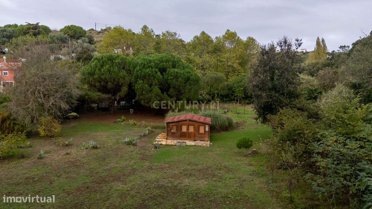 Moradia T4 com 5000m2 de Terreno - "Quinta do Sol"-48