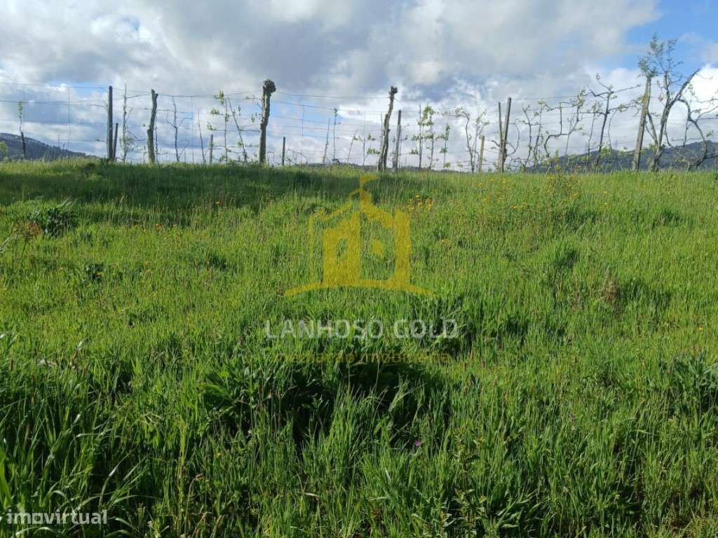 Terreno Agrícola com Tanque de Água - 2.240m² em Calvos, Póvoa de L... - Grande imagem: 4/14