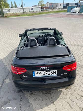 Audi A3 Cabriolet 1.9 TDI DPF Attraction - 9