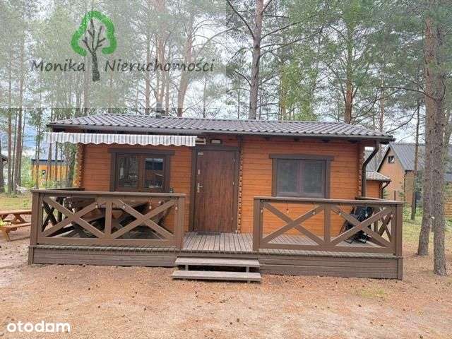 Borsk - 3 działki, 4 domki - las, jezioro - Pełny obrazek: 4/20