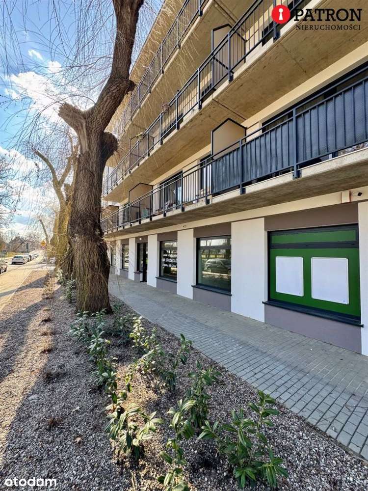 Ostatni lokal użytkowy na Wilsona 19 - Pełny obrazek: 2/14