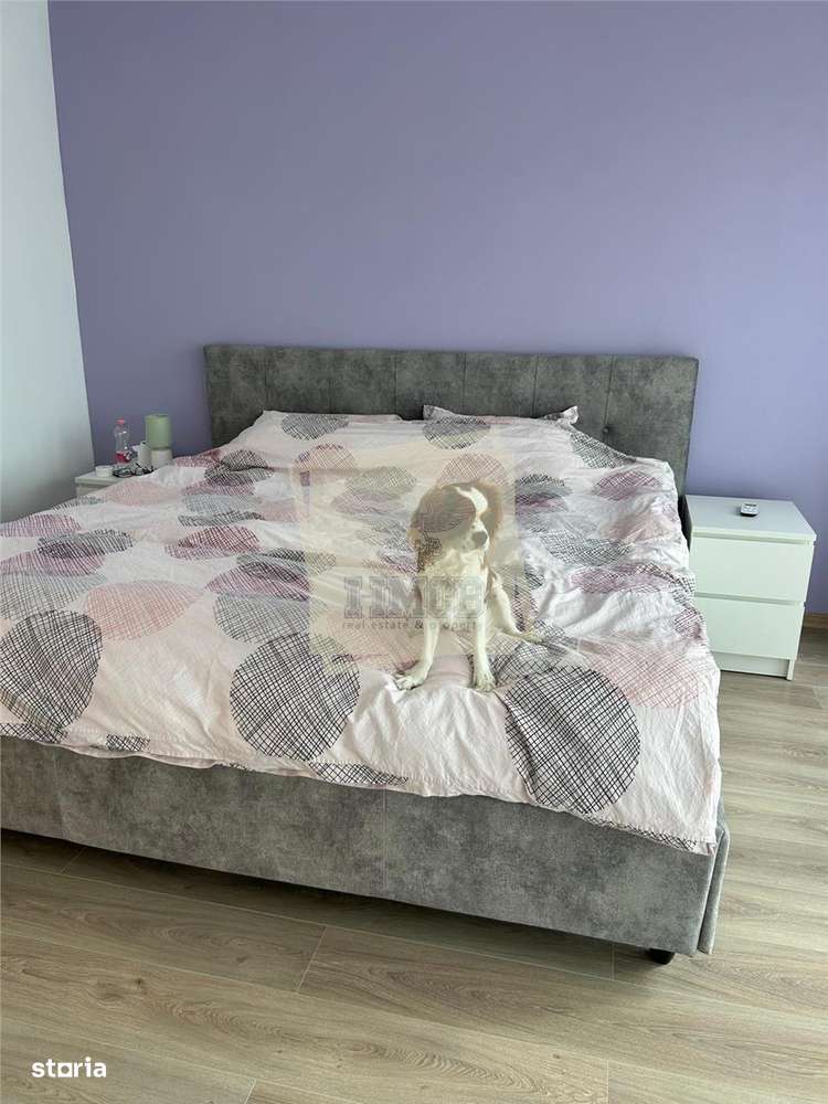 Casa 4 camere curte 200 mp  si carport Arhitectilor-2