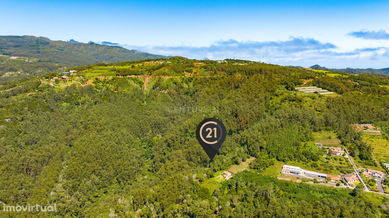 Terreno Rústico para Floresta Mista”com 3.265 m2 - Santa Cruz, Madeira