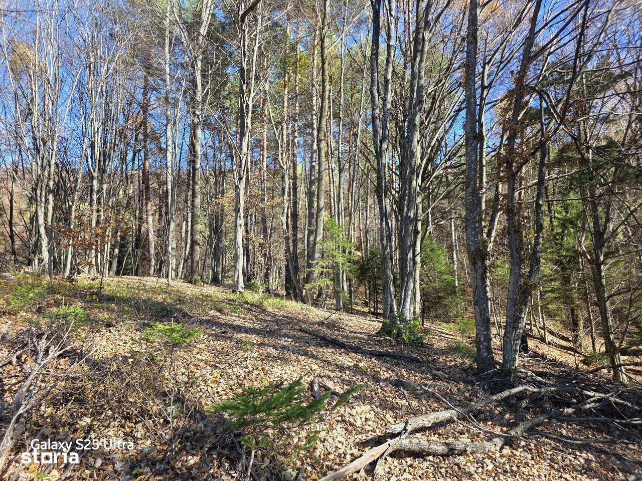 Oportunitate teren în cea mai pitorească zonă de munte! Comision zero!-11