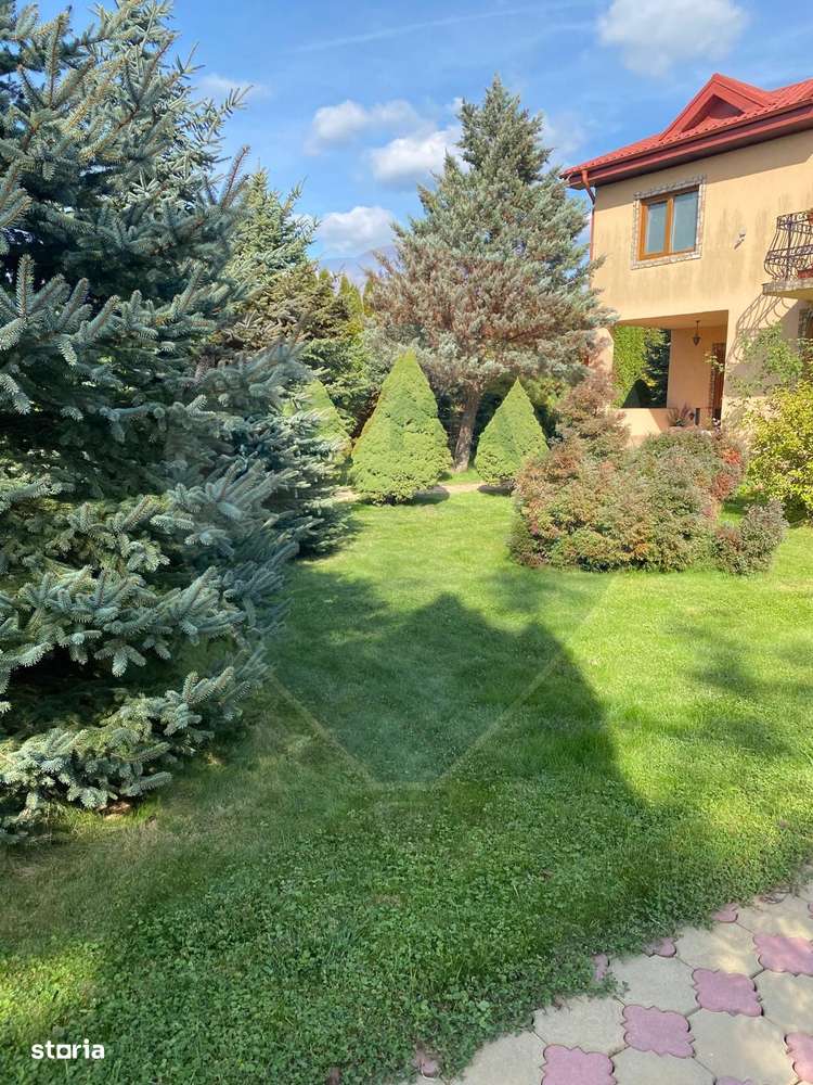 DE VANZARE Vila de vacanta in Pucioasa /Dambovita-3