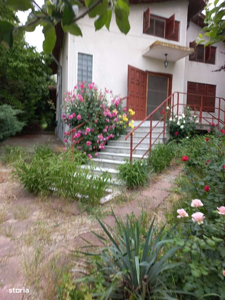 Adunatii Copaceni - Imagine principală: 4/17