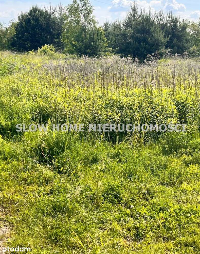 Działka w okolicy Magdalenki - Pełny obrazek: 1/1