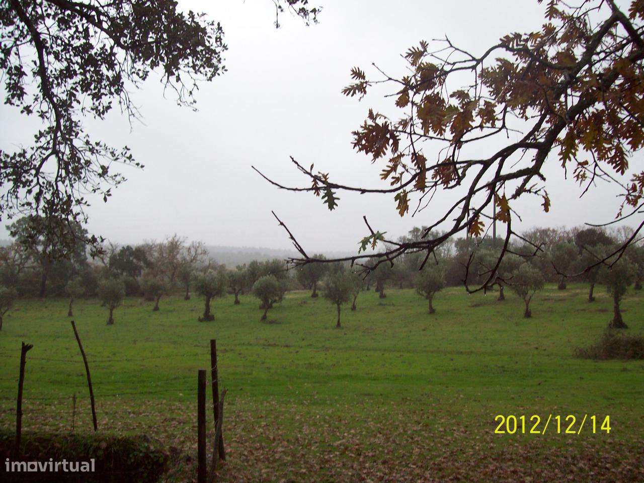 Herdade do Monte da Pedra.-15