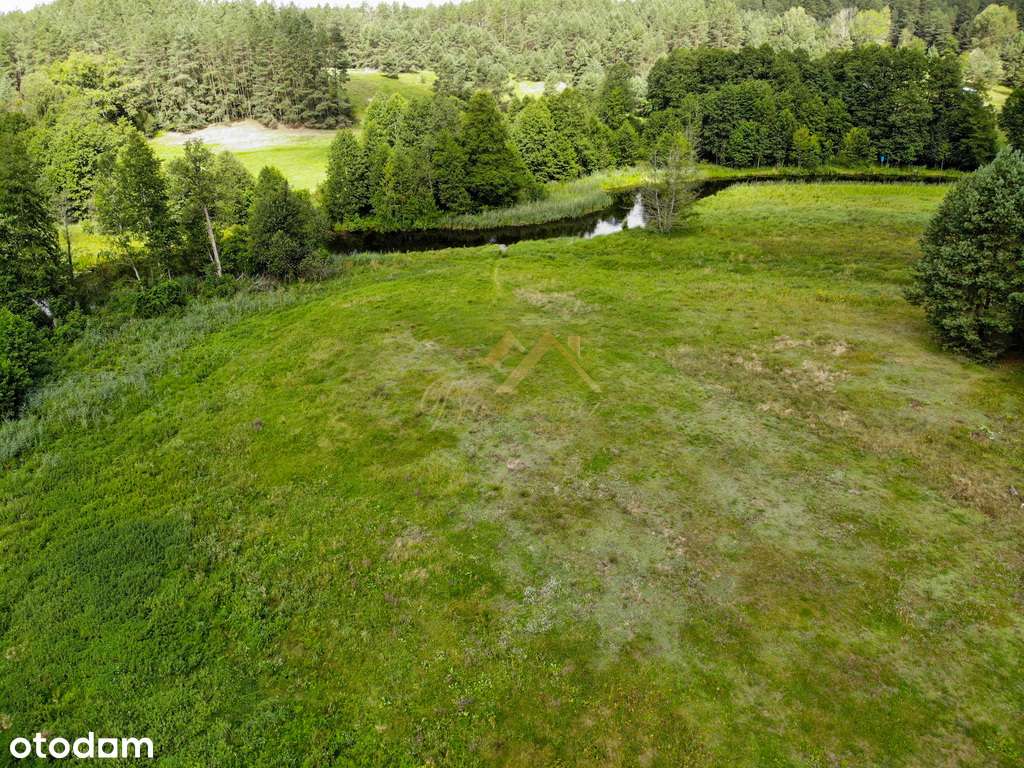 Twoja ostoja w sercu Puszczy Augustowskiej-13