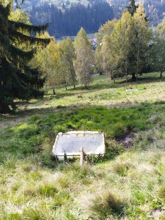 Casa renovabila  + teren  in Argestru, Suceava - Imagine principală: 3/7