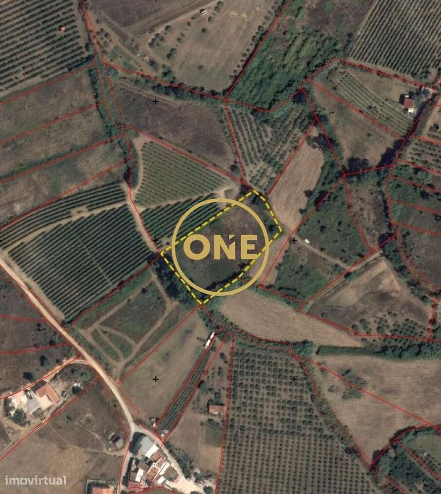 Terreno Rústico com 3312 m2 - Sobral da Abelheira e Azueira-9