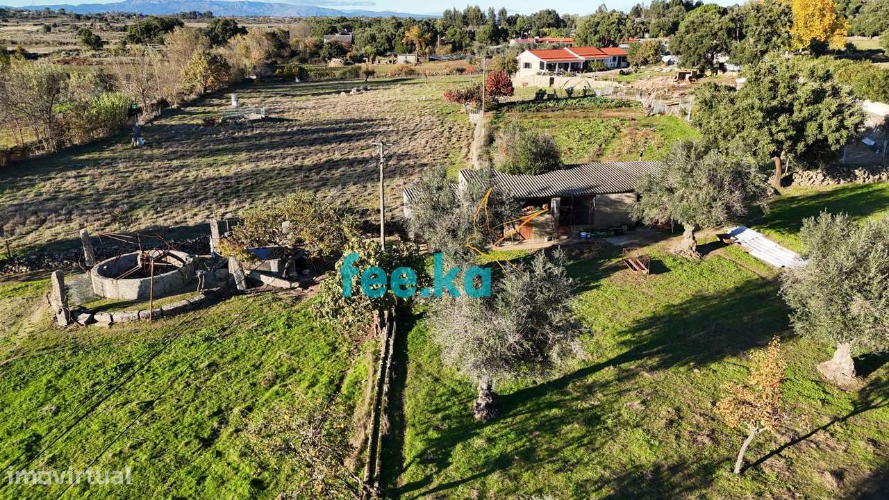 Quinta em Escalos de Baixo-34