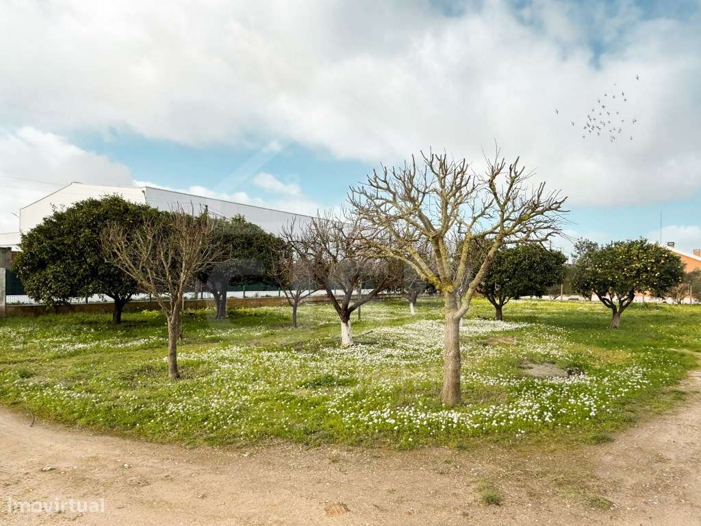 Terreno em Benavente-16