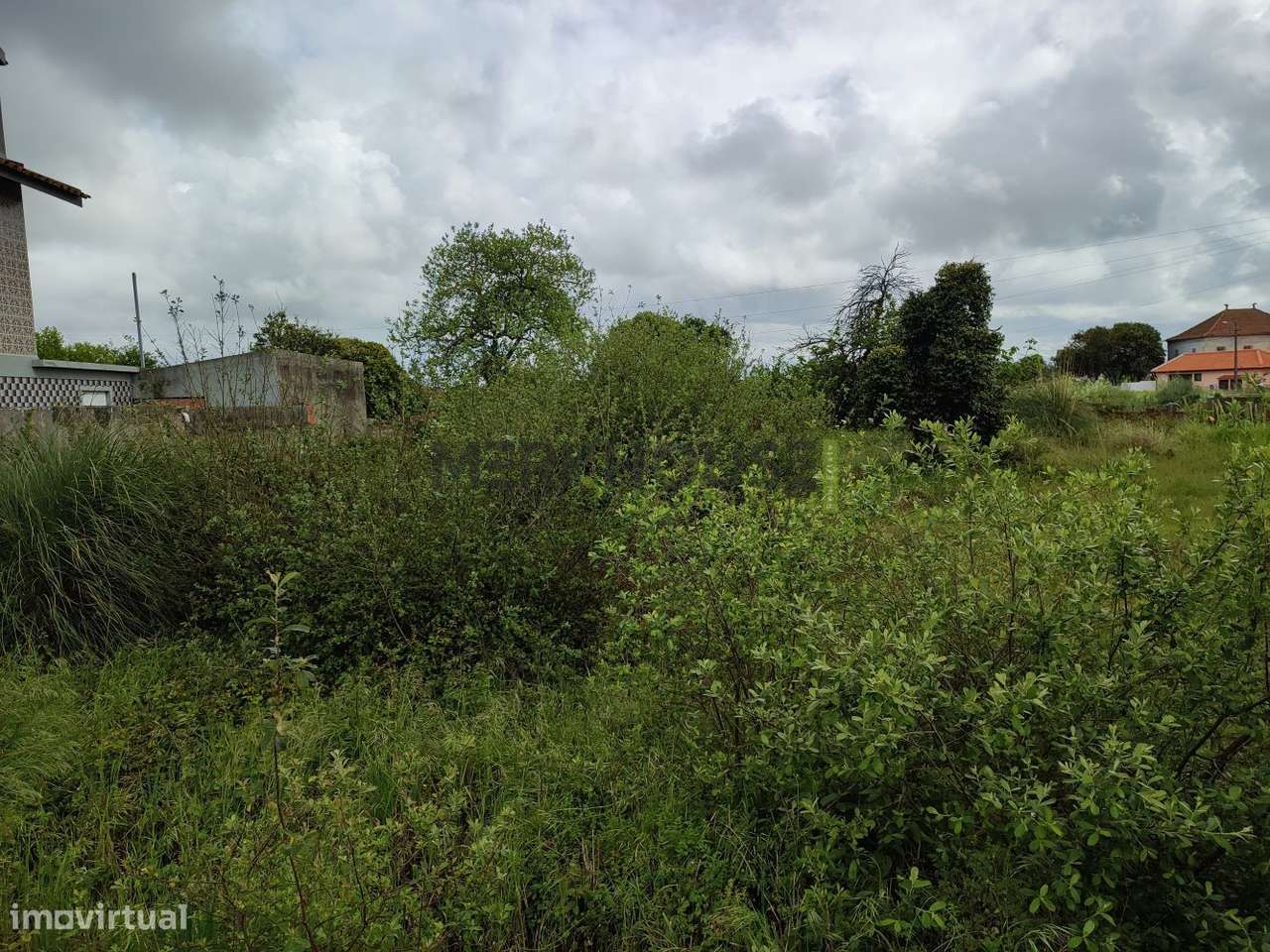 Terreno Urbano- Veiros - Grande imagem: 4/11