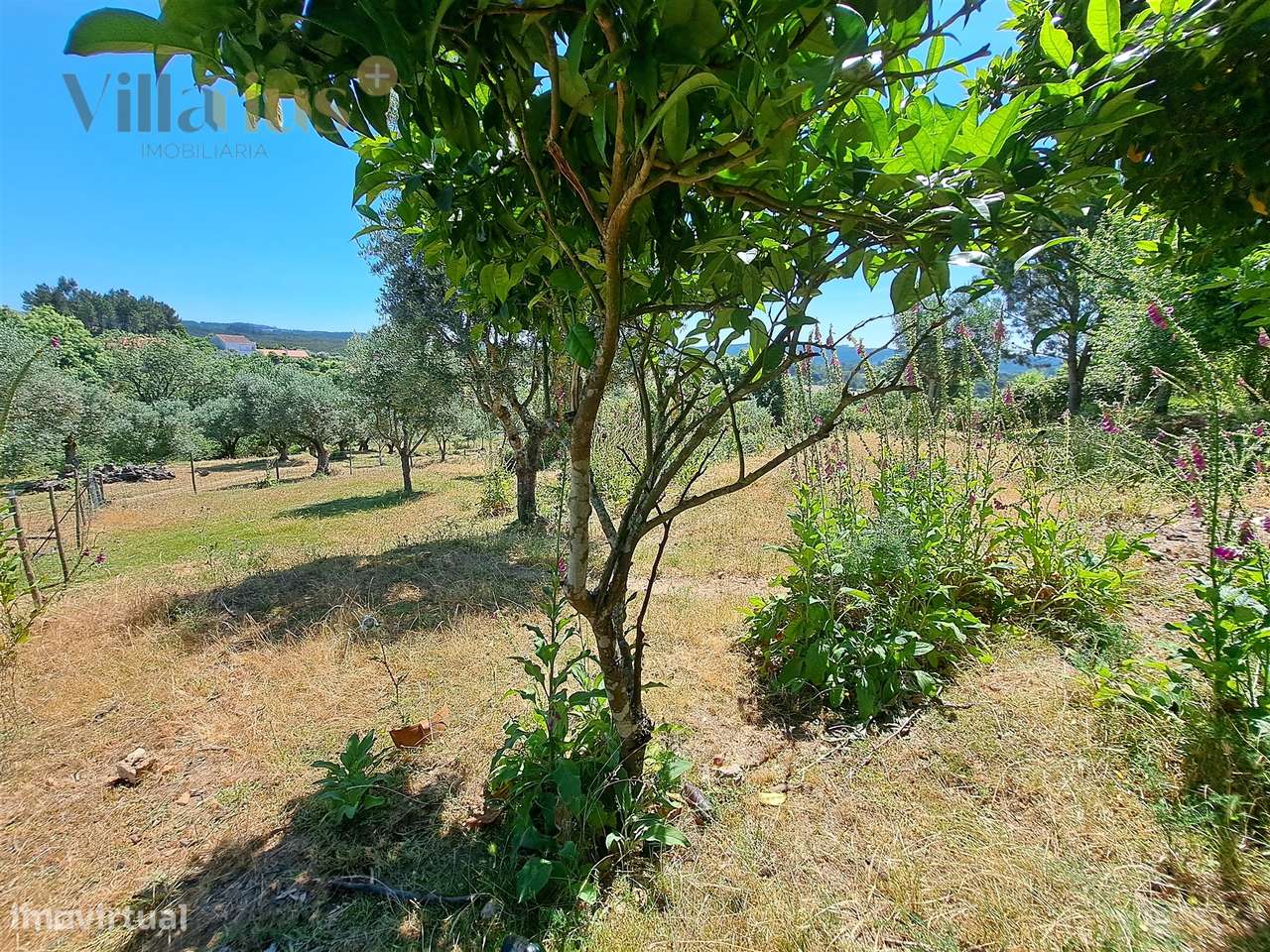 Terreno Urbano com Vista e Acesso Rápido a Tomar | Villarius Imobiliár - Grande imagem: 5/37