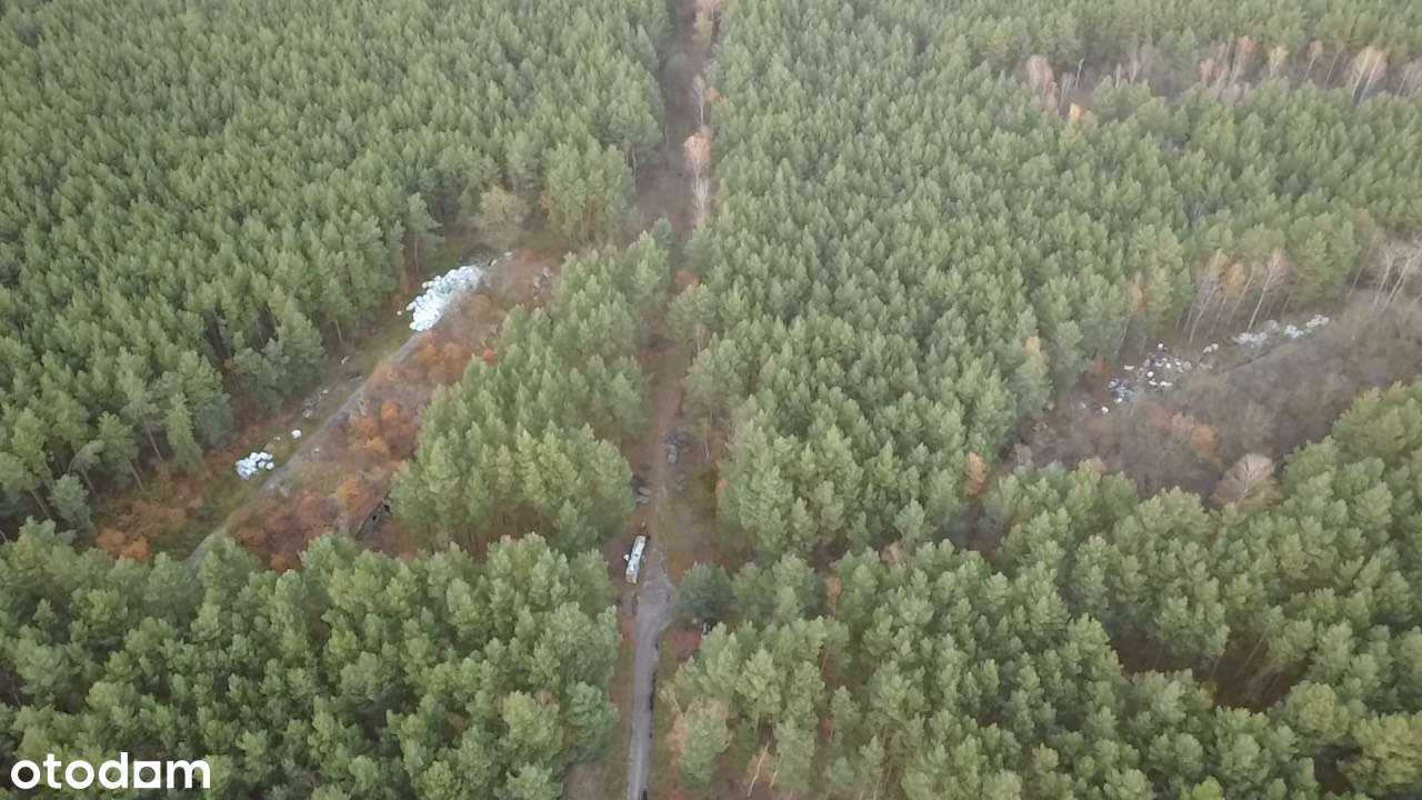 Działka inwestycyjna 1,666 ha - Brożek, Lubuskie-15