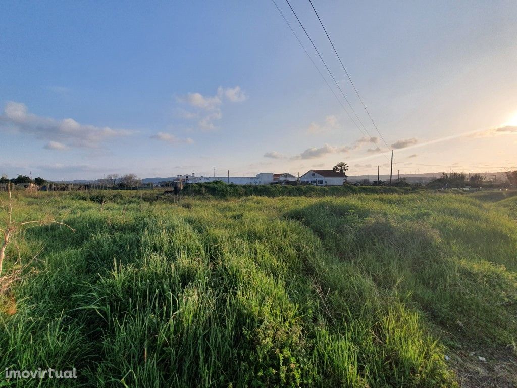 Terreno na Amoreira - Óbidos