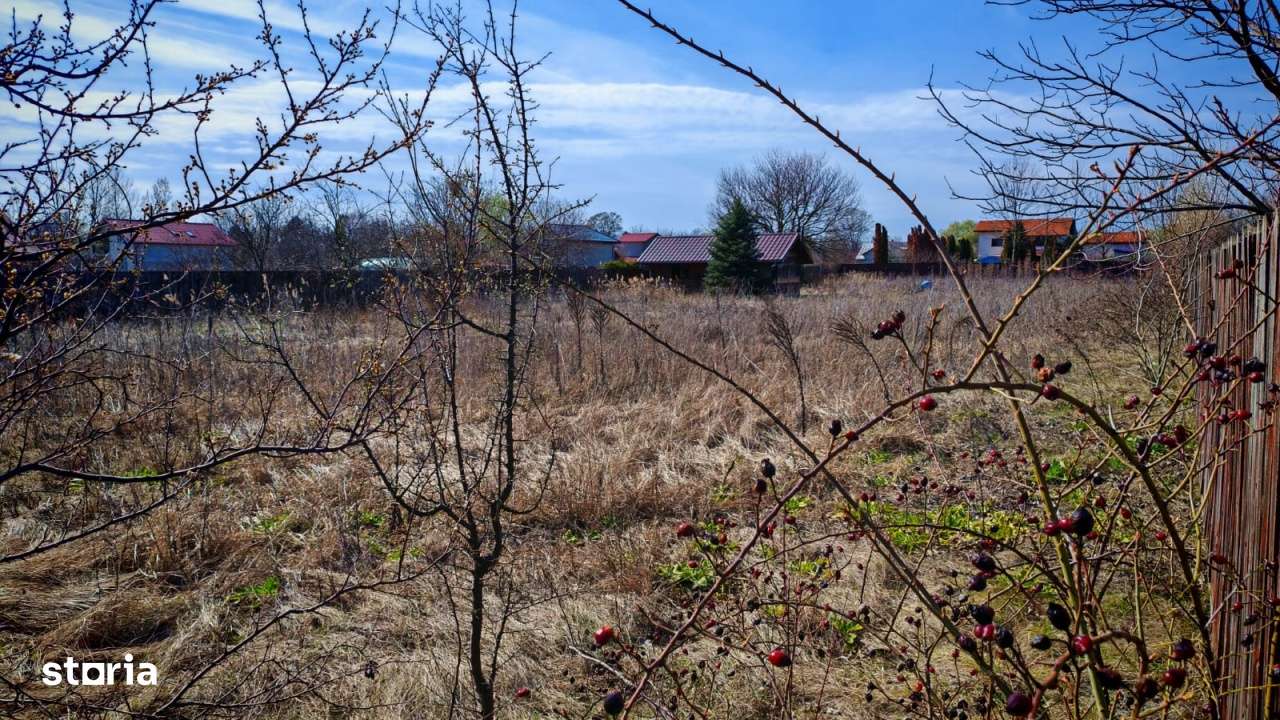 Teren de vanzare Gruiu l Lacul Snagov - Imagine principală: 4/6