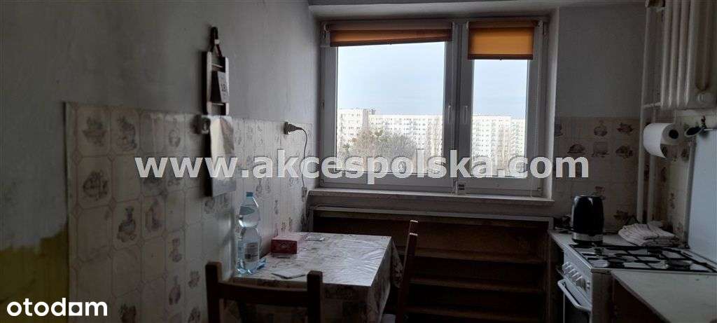 2 pokoje, rozkładowe, szybka komunikacja tramwajem-9