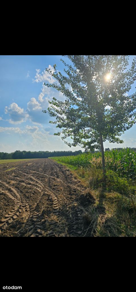 Grunt siedliskowy z działką budowlana 26 000m2