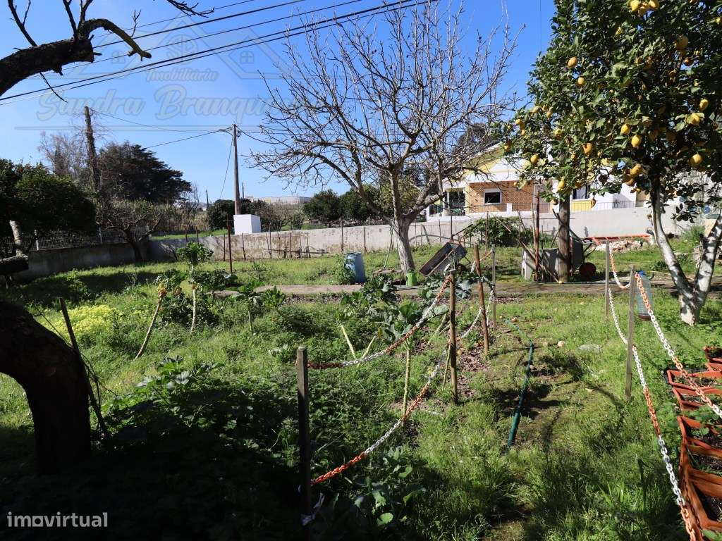 Moradia T3 com PISCINA e terreno com 1200m2-32