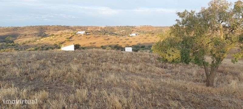 Prédio Rústico - Cerca das Almas - Grande imagem: 4/8