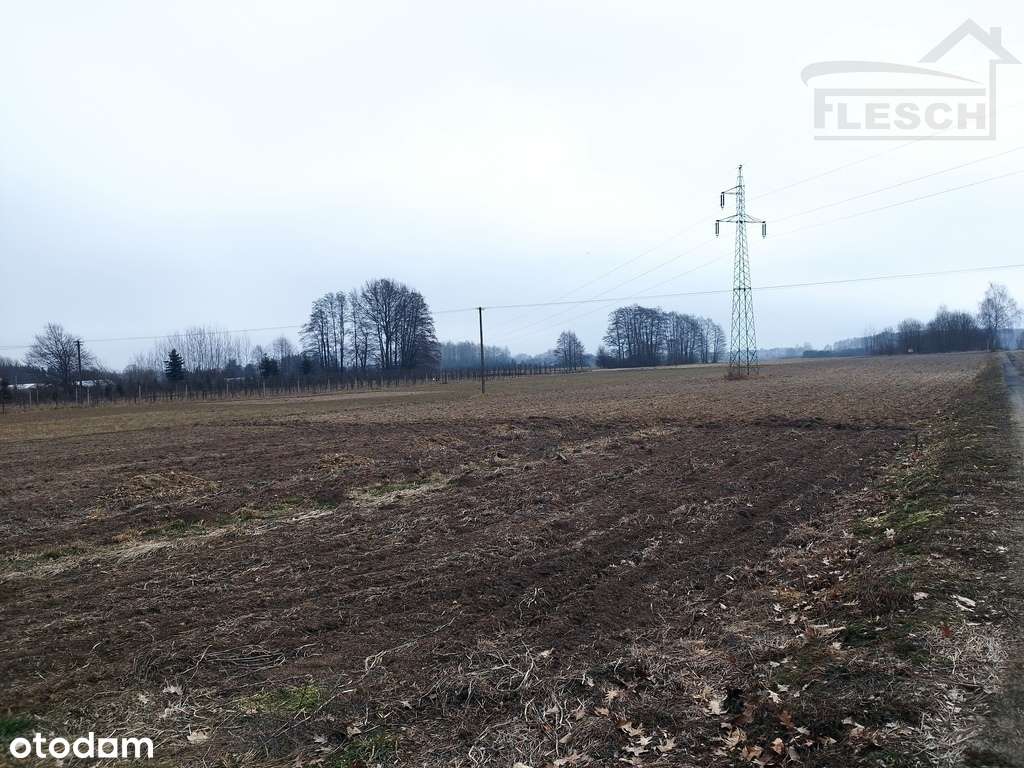 Działka budowlana Lisówek 3500m2 - Pełny obrazek: 5/5