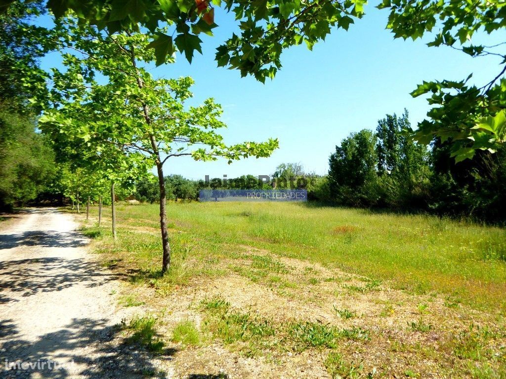 Terreno (mini-quinta) de cultivo 26.000m2 e ruína urbana. Portugal,...