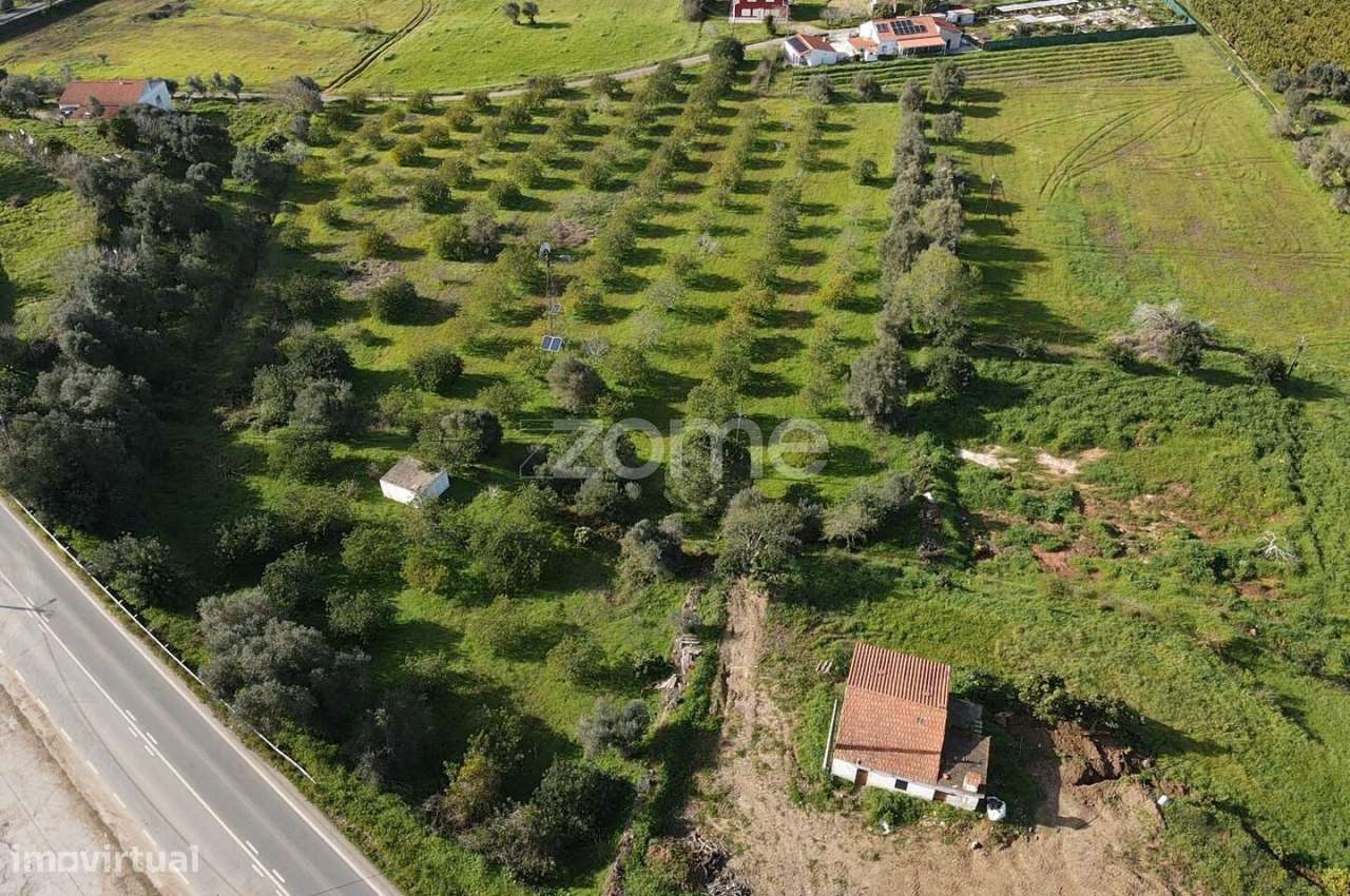 Terreno c/ Furo e Alfarrobeiras em Amorosa, Messines com 13.460m2 - Grande imagem: 3/37