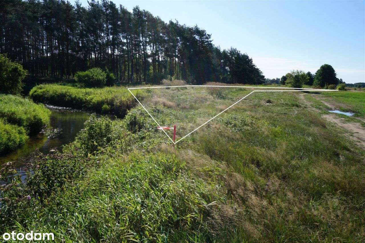 Działka 908 m² nad rzeką Czarną, Przyłęk, Paradyż-6
