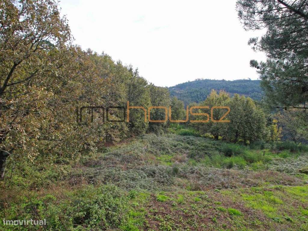 Quinta isolada - Amarante-14